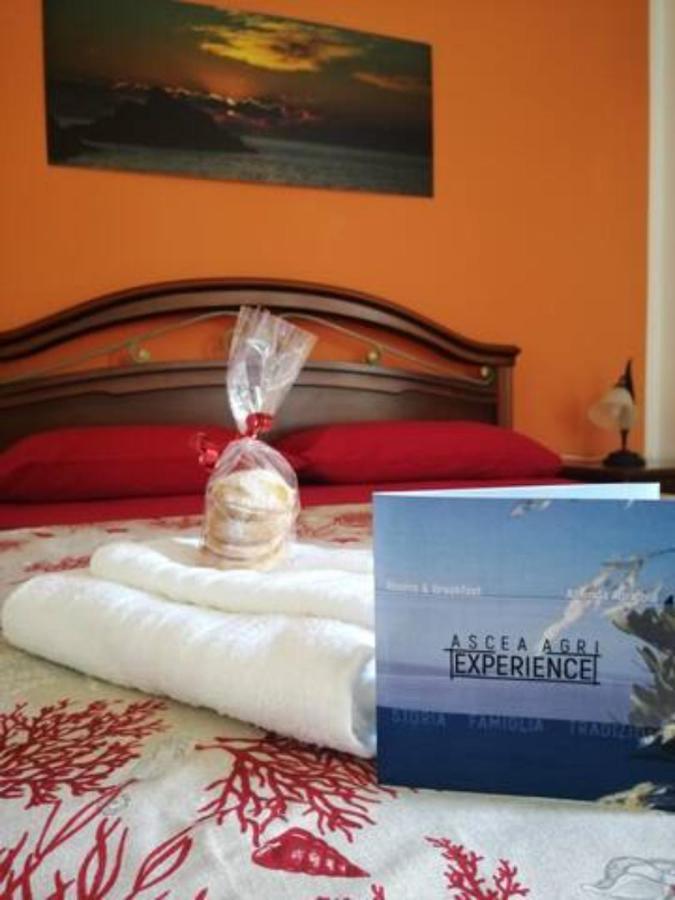 Asceaexperience Rooms Buitenkant foto